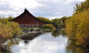 Silvies River | Burns